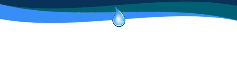 Q81eYHXxV0